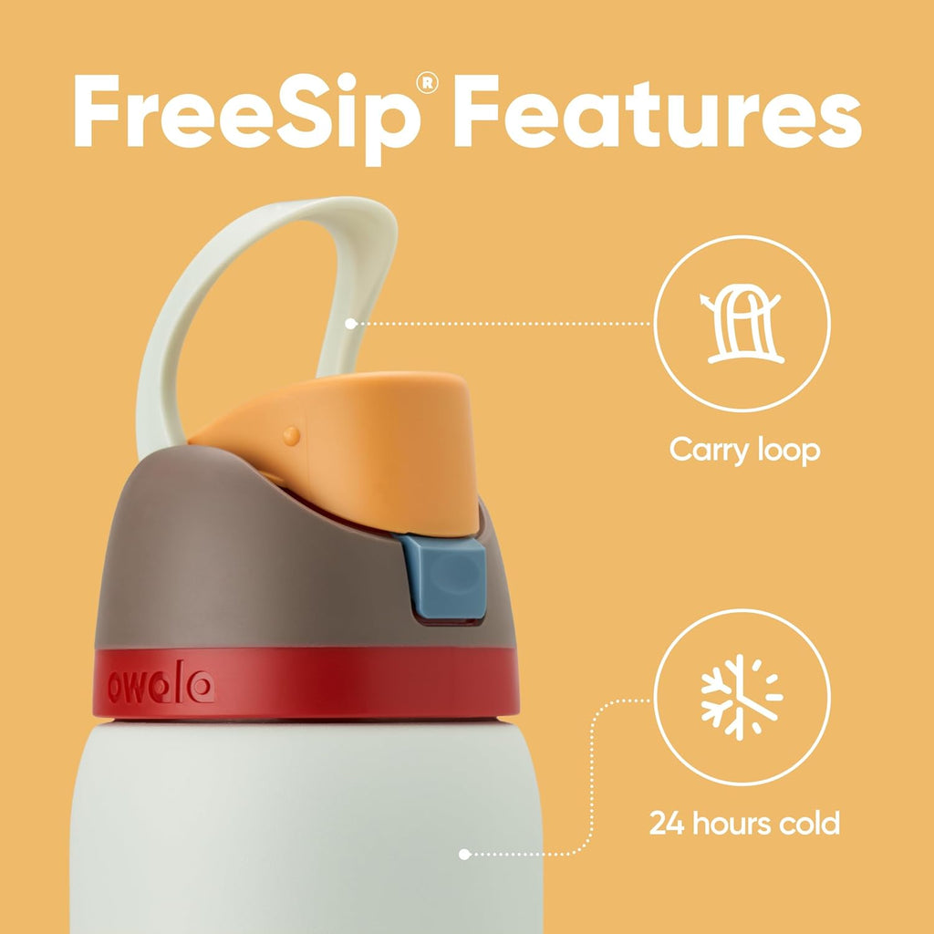 Owala FreeSip Insulated Stainless Steel Water Bottle with Straw for Sports, Travel, and School BPA-Free Sports Water Bottle, 32 oz, Boneyard (Pack of 6)